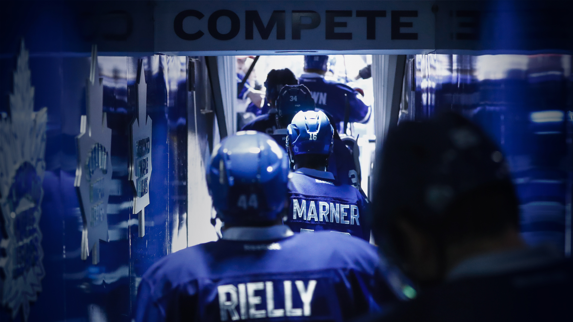 Leafs Wallpaper Nation