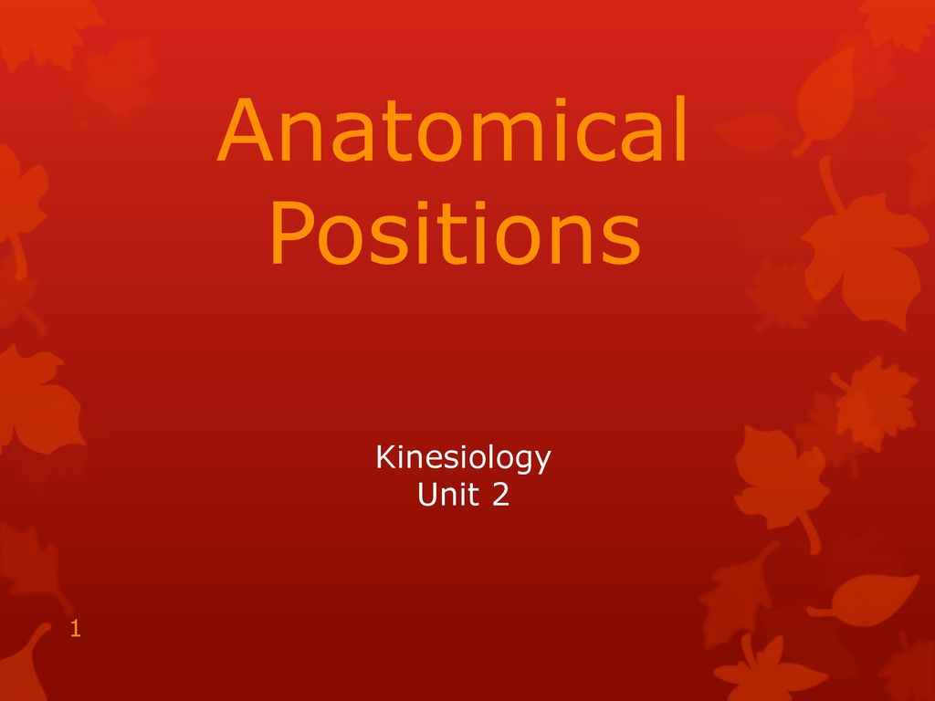 Anatomical Positions Kinesiology Unit Ppt