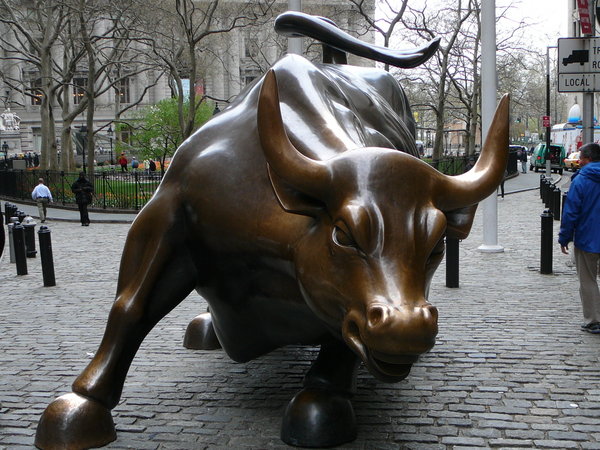 New York Wall Street Bull Photo