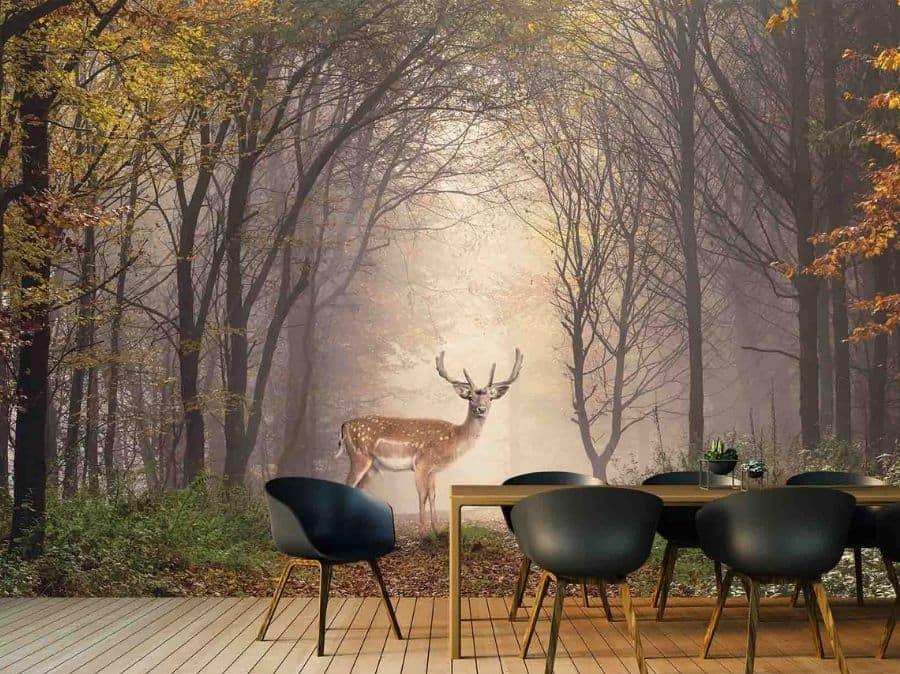 Deer Wallpaper About Murals