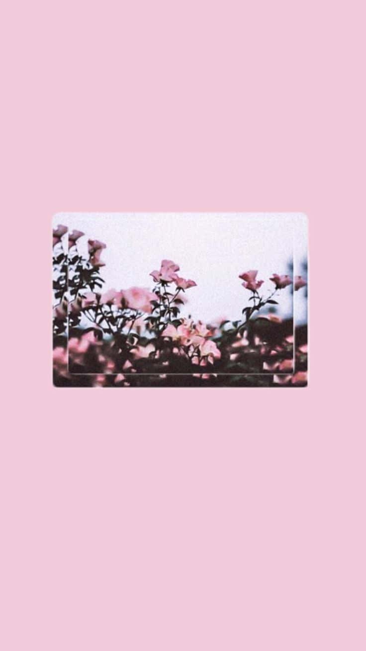 Cool Aesthetic Wallpaper