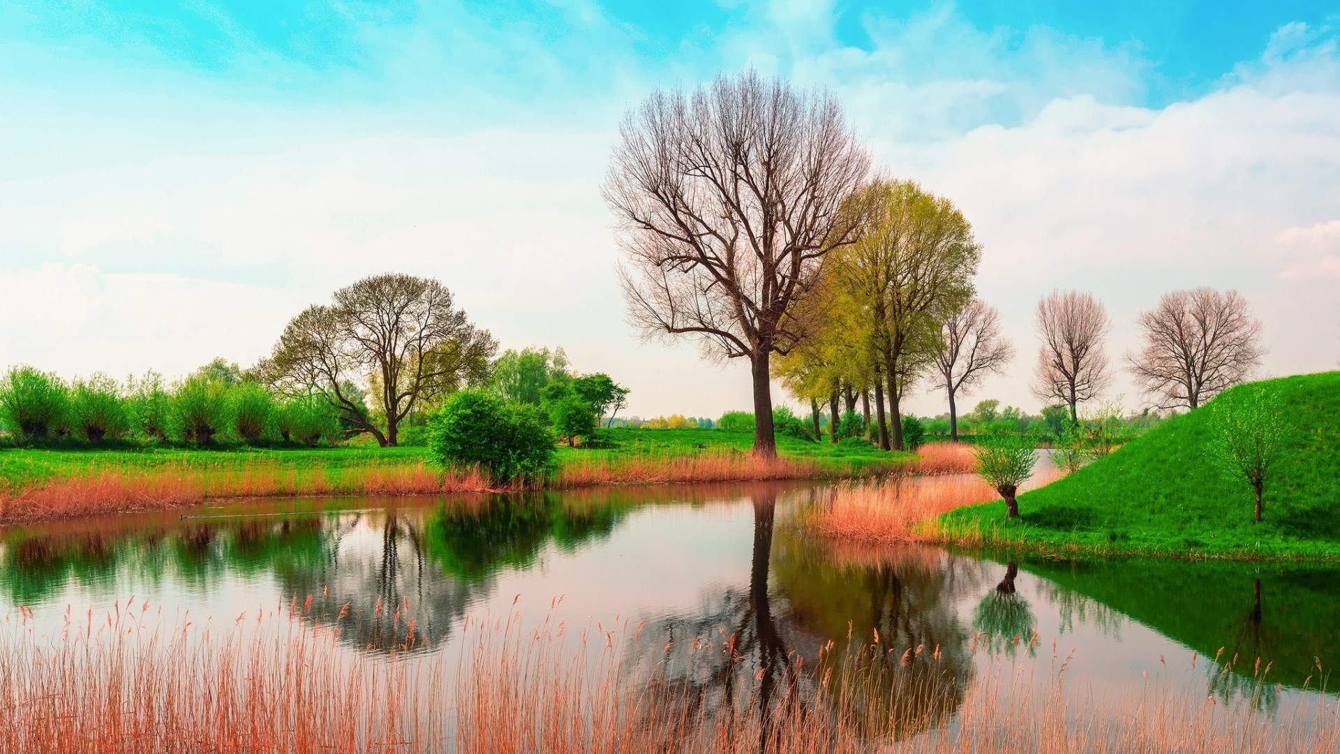 HD Nature Wallpaper