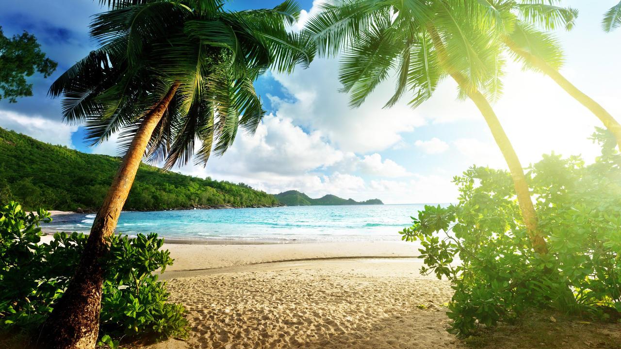 Tropical Beach 4k Ultra HD Wallpaper By