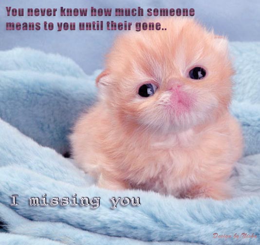 Miss You Quotes For Him From The Heart I U Wallpaper