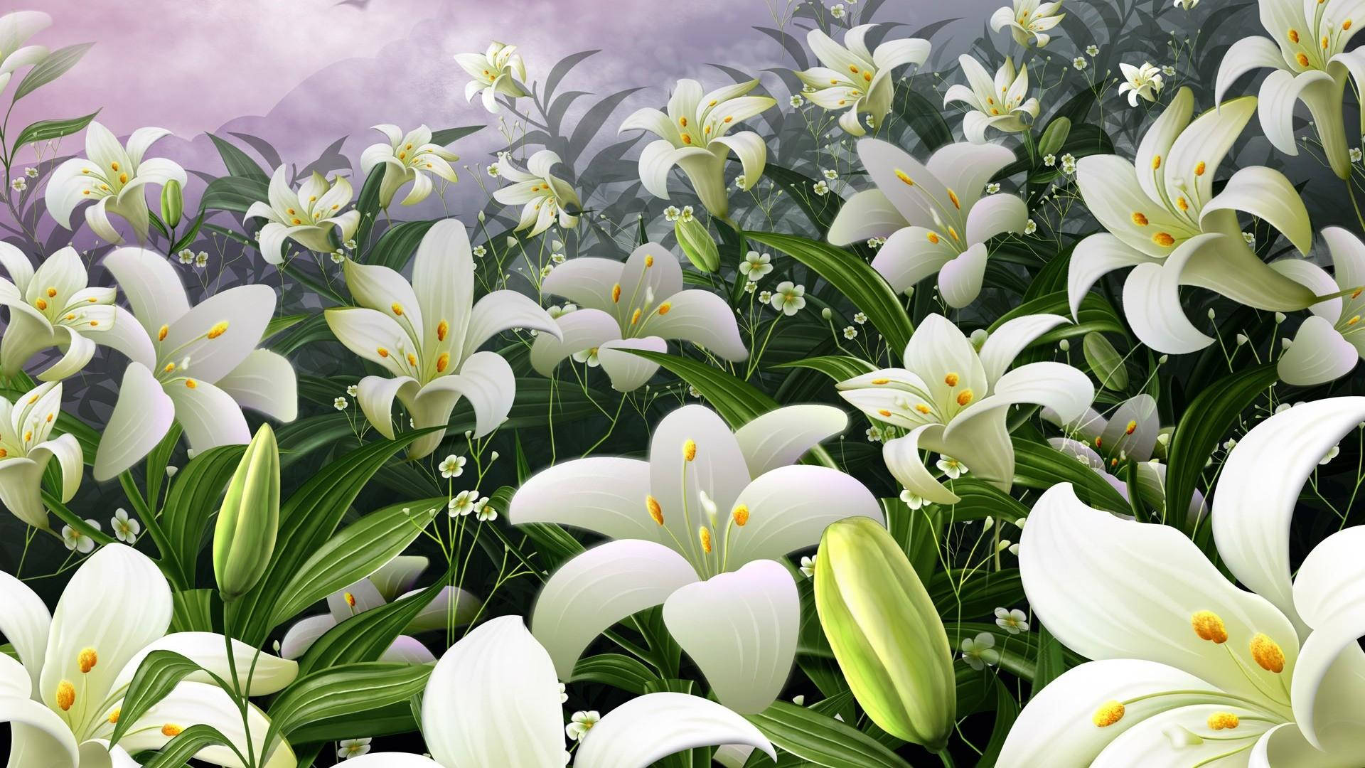 White Lily Wallpaper