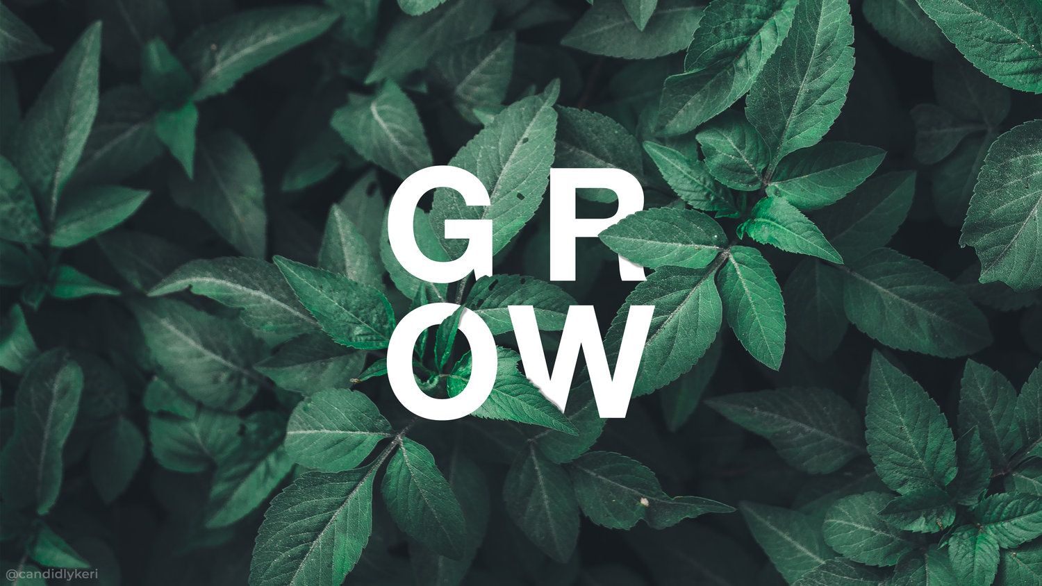 Free and customizable sage green wallpaper templates