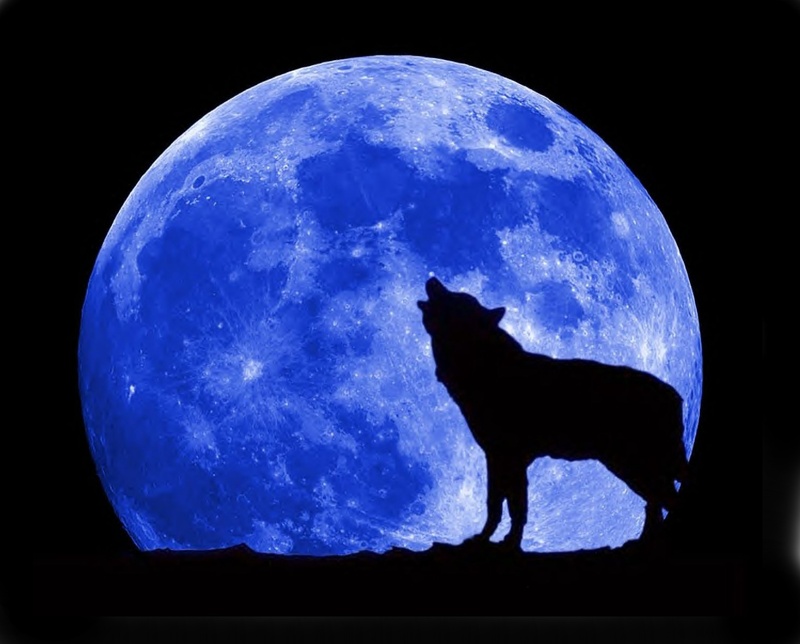 Full Blue Moon Wolf Howling Wallpaper X