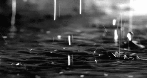 Free download Animated Rain Wallpaper BlogCrunch [500x266] for your  Desktop, Mobile & Tablet | Explore 48+ Animated Rain Wallpaper | Rain  Wallpaper, Rain Wallpapers, Rain Forest Background