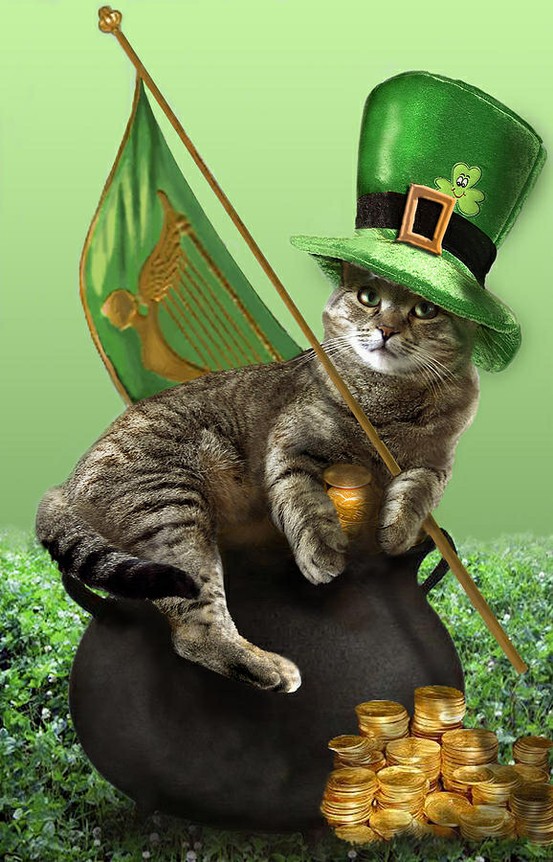 St Patrick's Day Cat Wallpaper WallpaperSafari