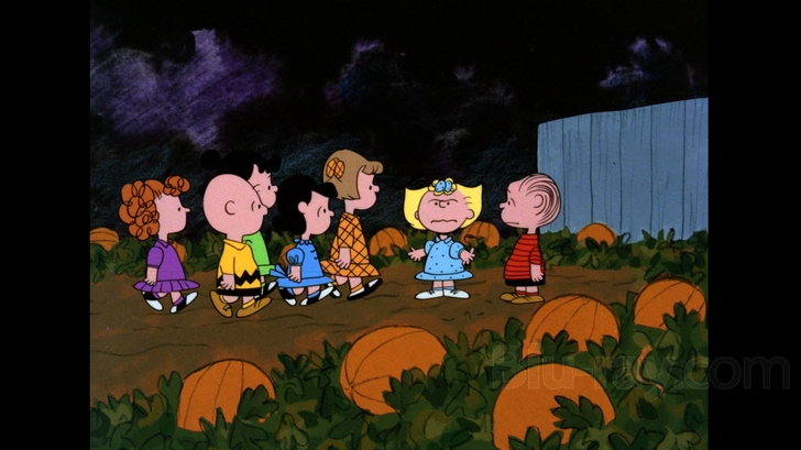 Charlie Brown Great Pumpkin Dvd Image Pictures Becuo