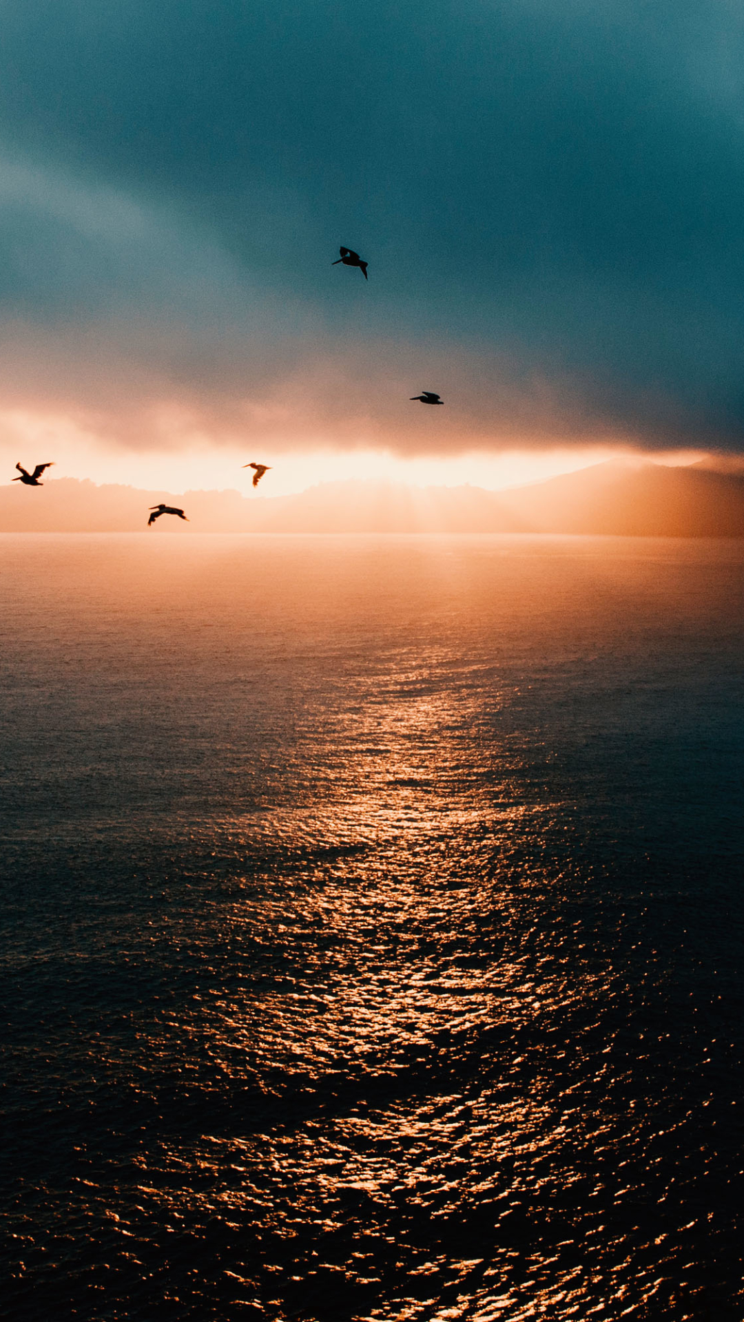 Birds Flying Over The Ocean At Sunset