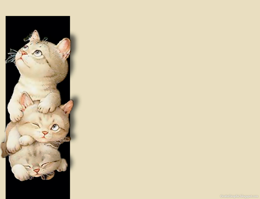 Cute Cats Background The Are In Left Side