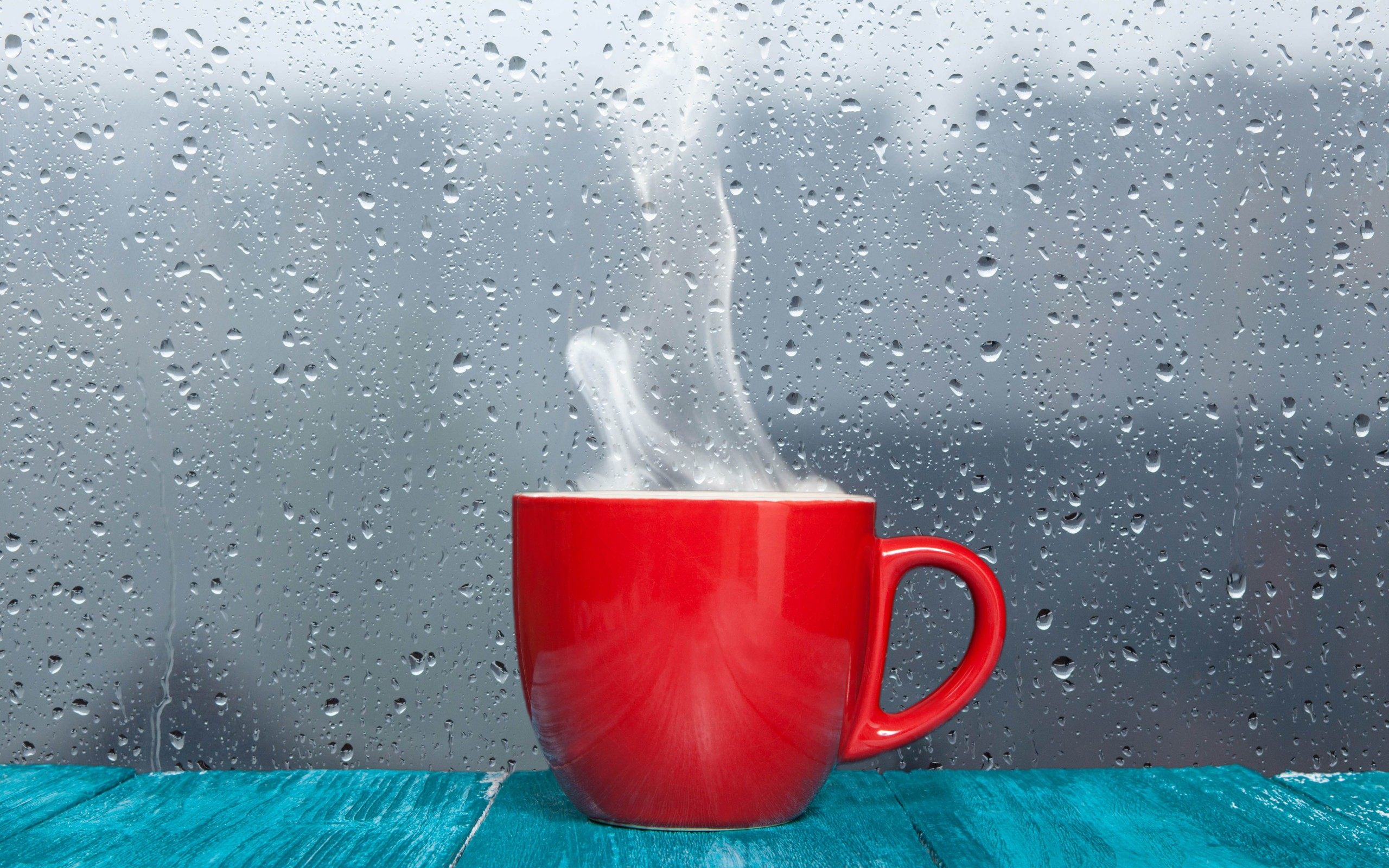 Red Cup Rain Background Wallpaper Jpg