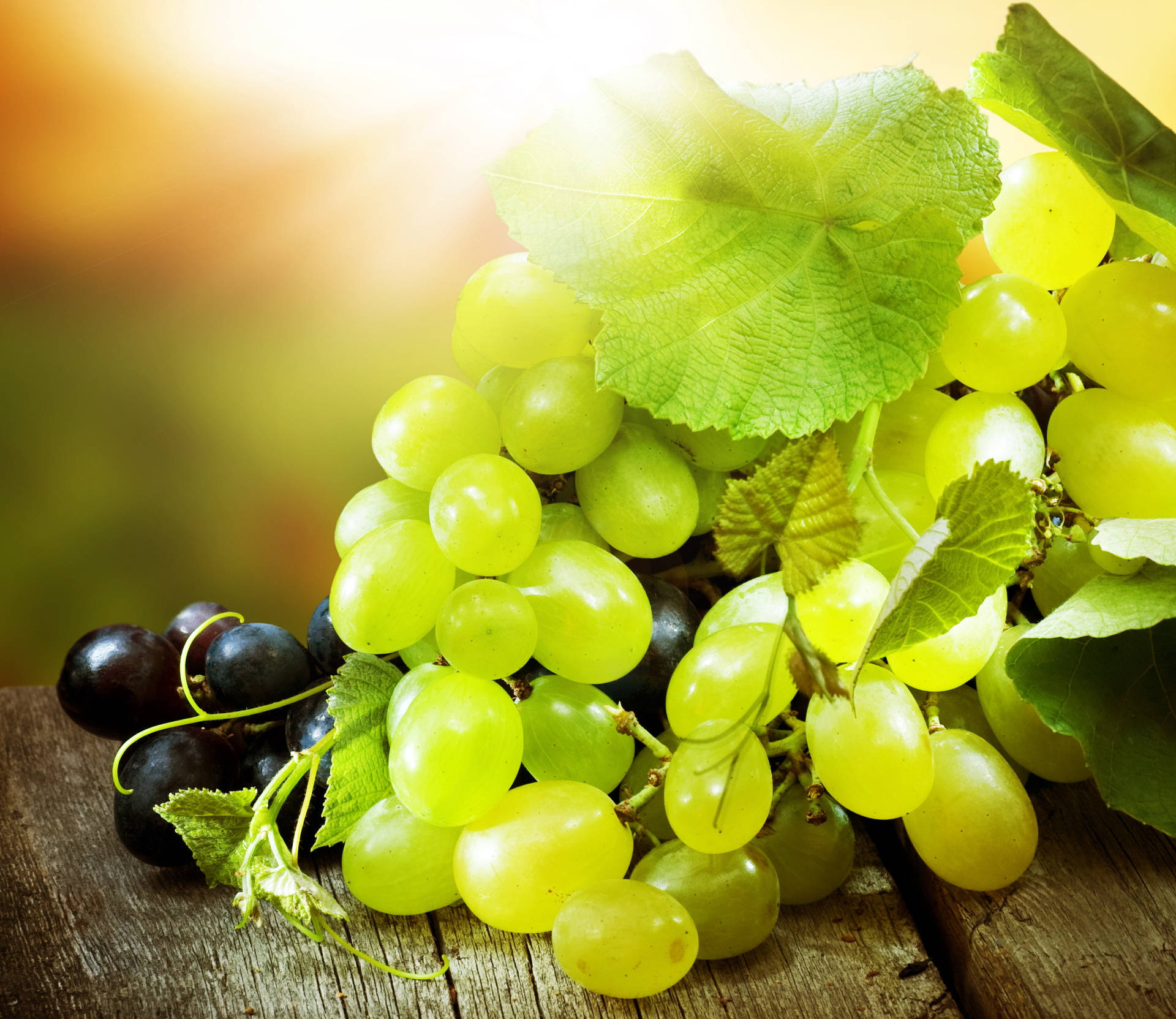 Grape Wallpaper