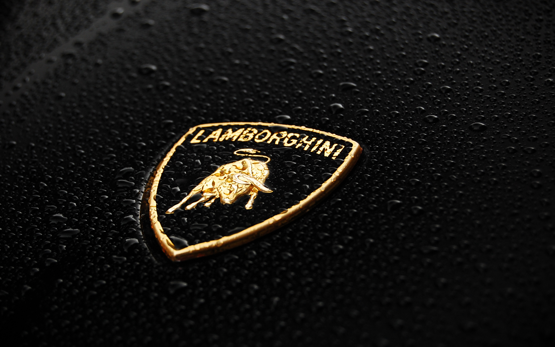 Lamborghini Logo Wallpaper HD Car Wallpapers 1920x1200