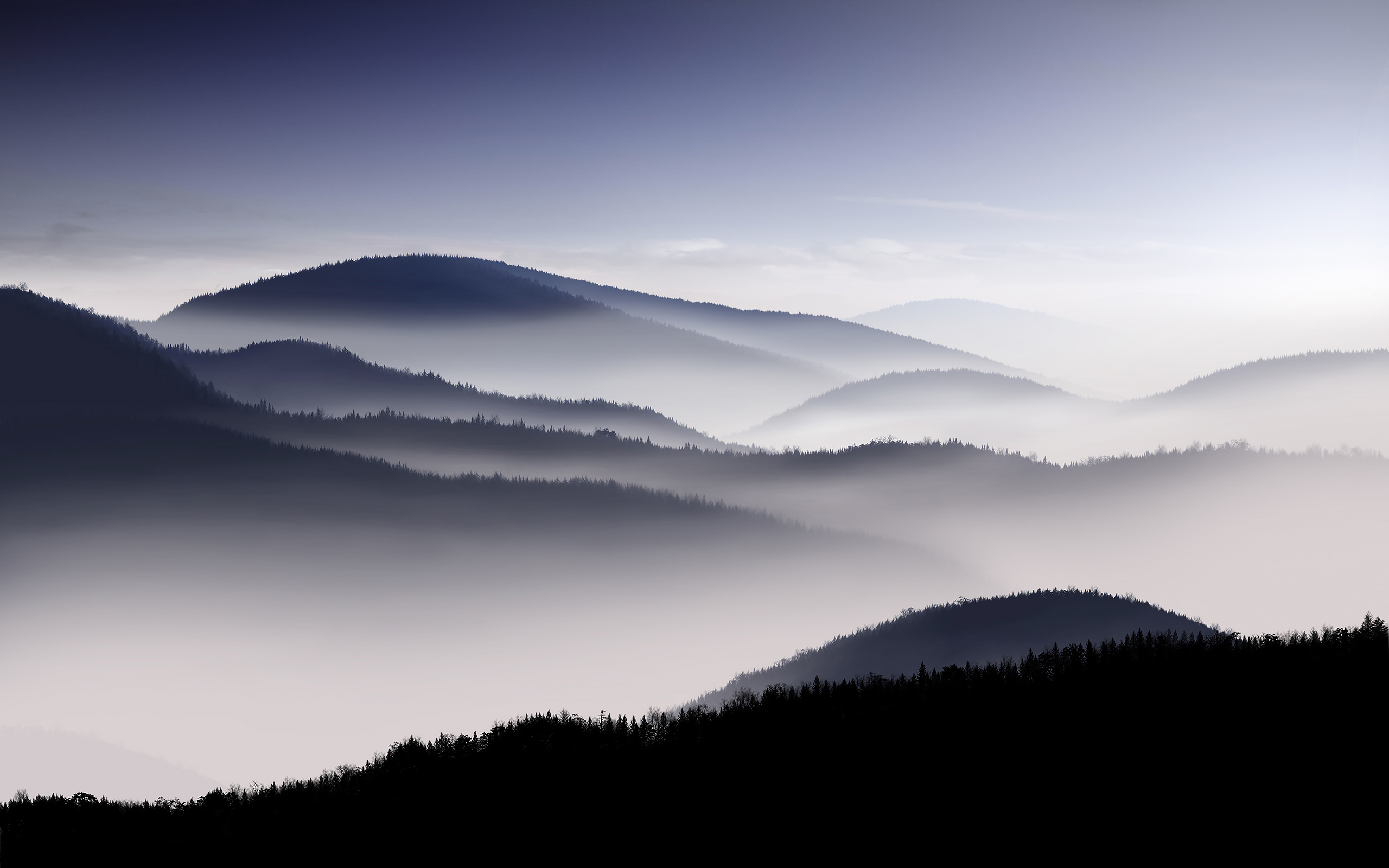 Foggy Wallpaper