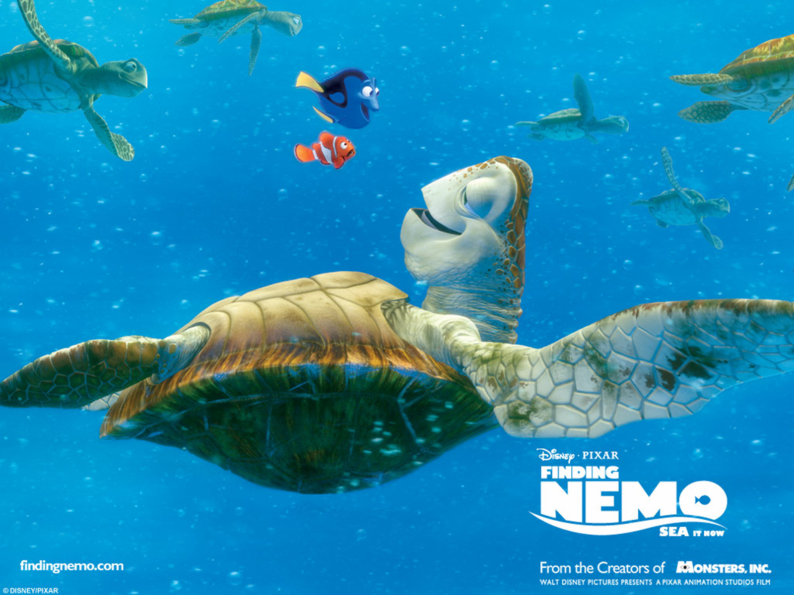 Crush, the sea turtle, swims with Marlin and Dory in the ocean from Finding Nemo