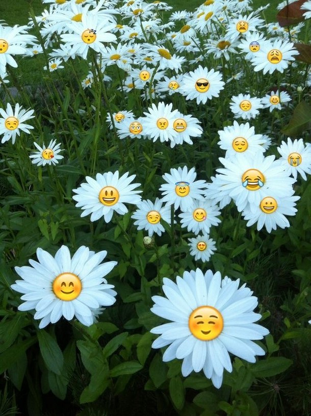 Background Cute Emoji Flower Wallpaper Emojis Image