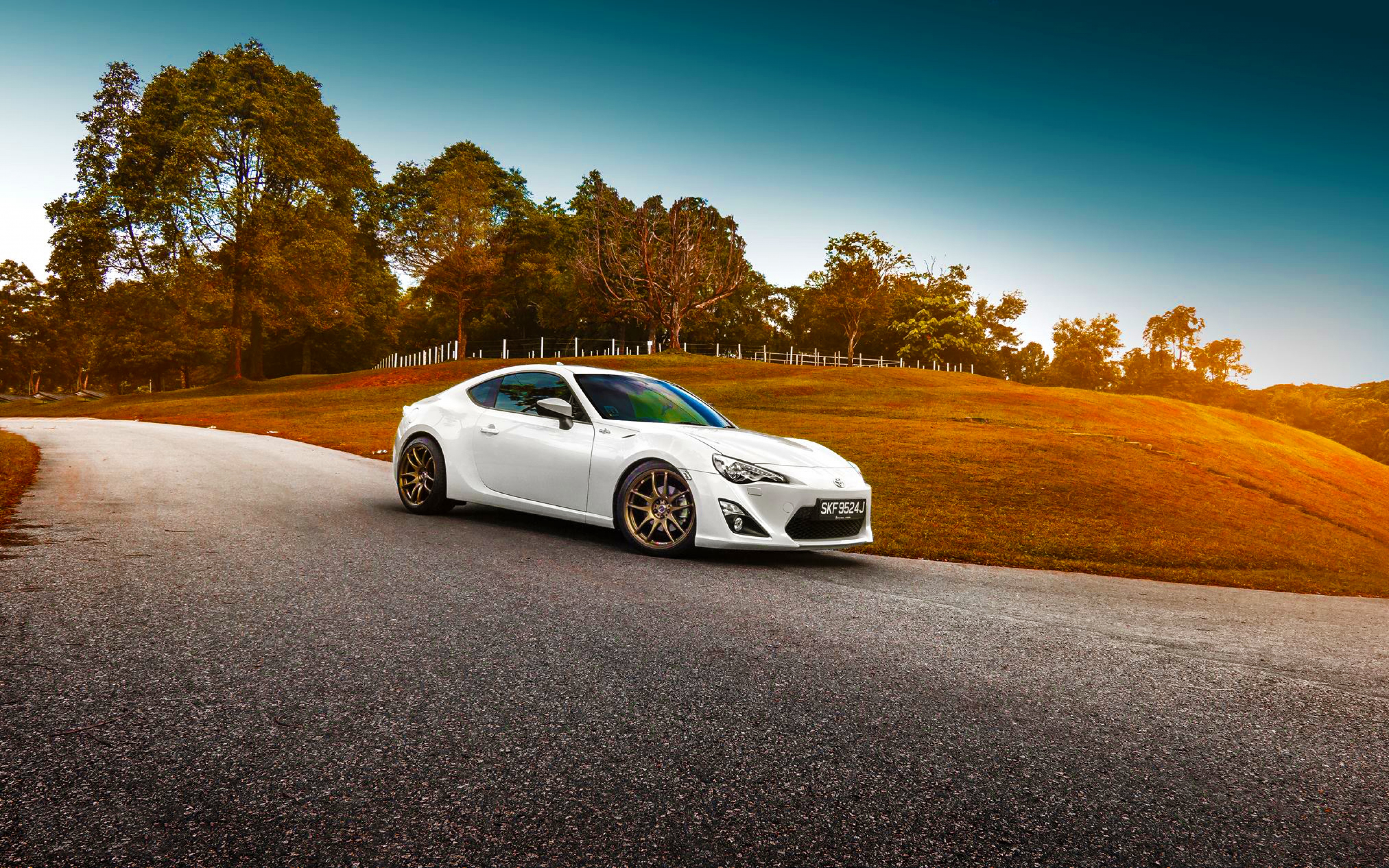 HD Background Toyota GT 86 White Color Grass Sunset Car