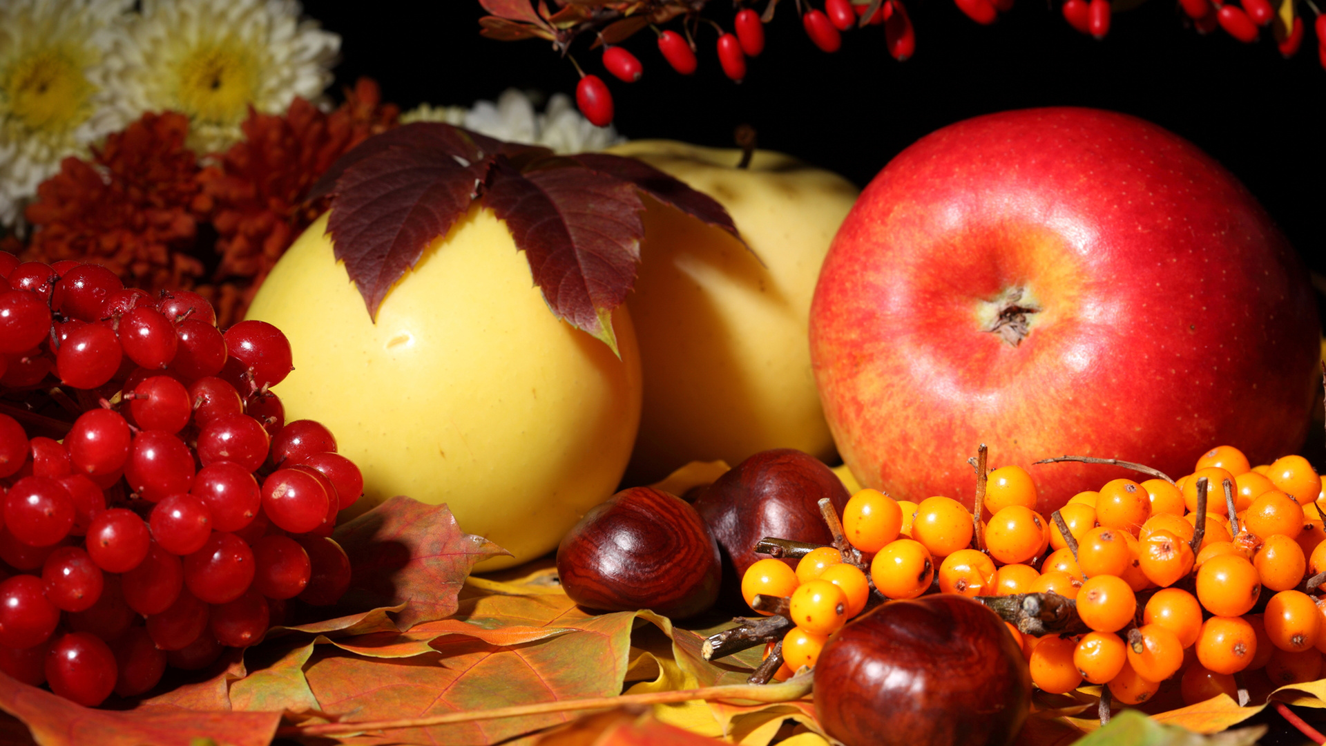 Still Life Apples Berries Berry Nuts Food Leaves Autumn Fall Wallpaper
