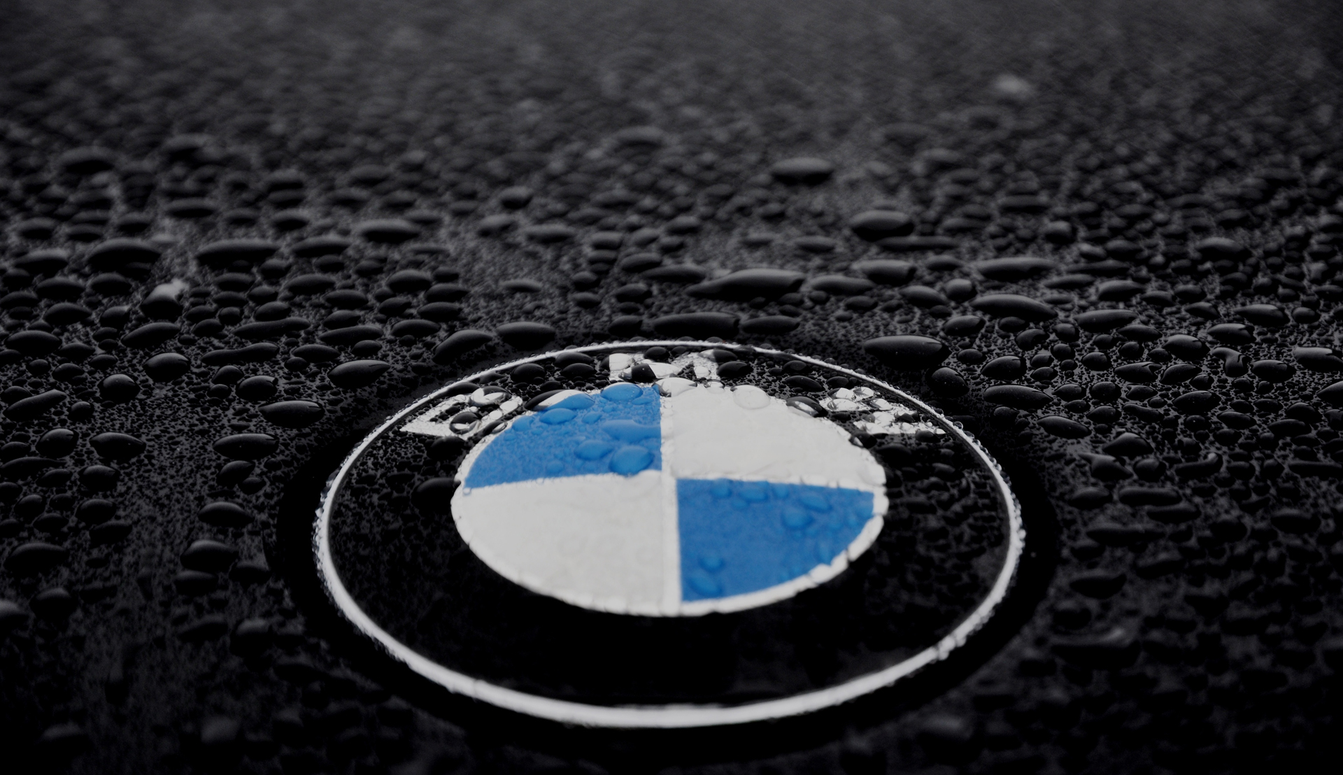 Bmw Logo Wallpaper Pictures Image