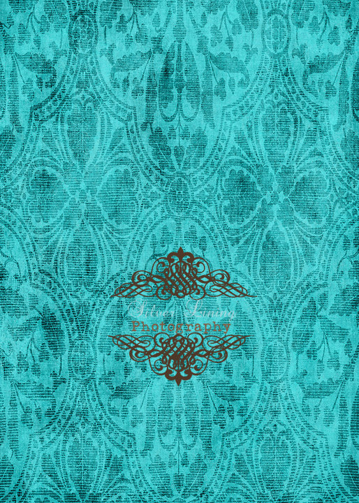 Large 5ft X Turquoise Damask Wallpaper Vinyl Photography