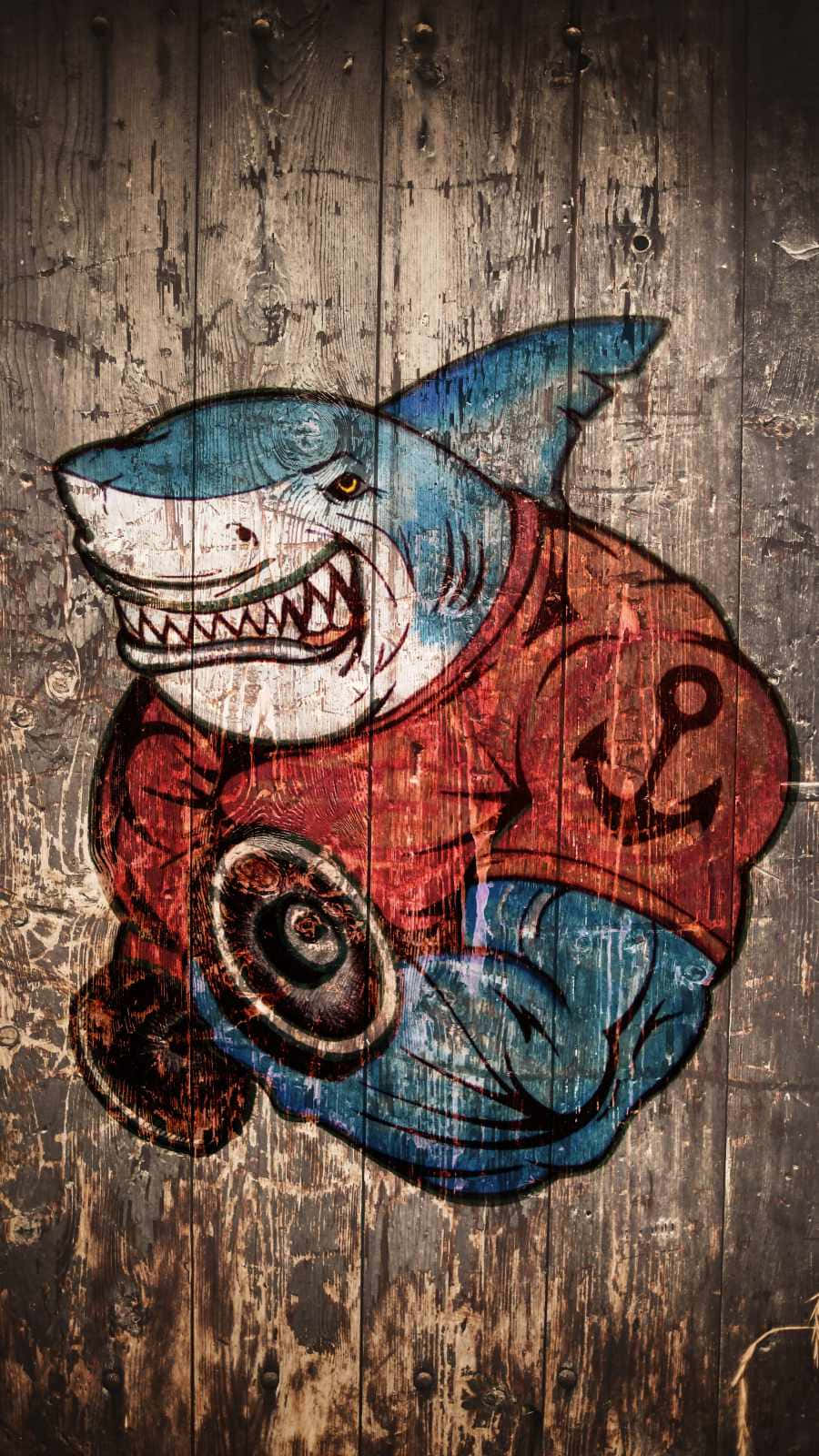 Get The Range Of iPhones With Shark Look Wallpaper