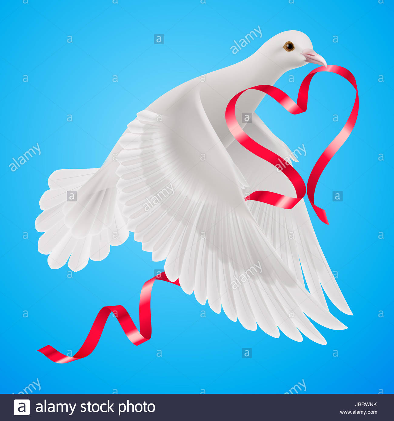 White Dove With Red Ribbon The Blue Background Stock Photo