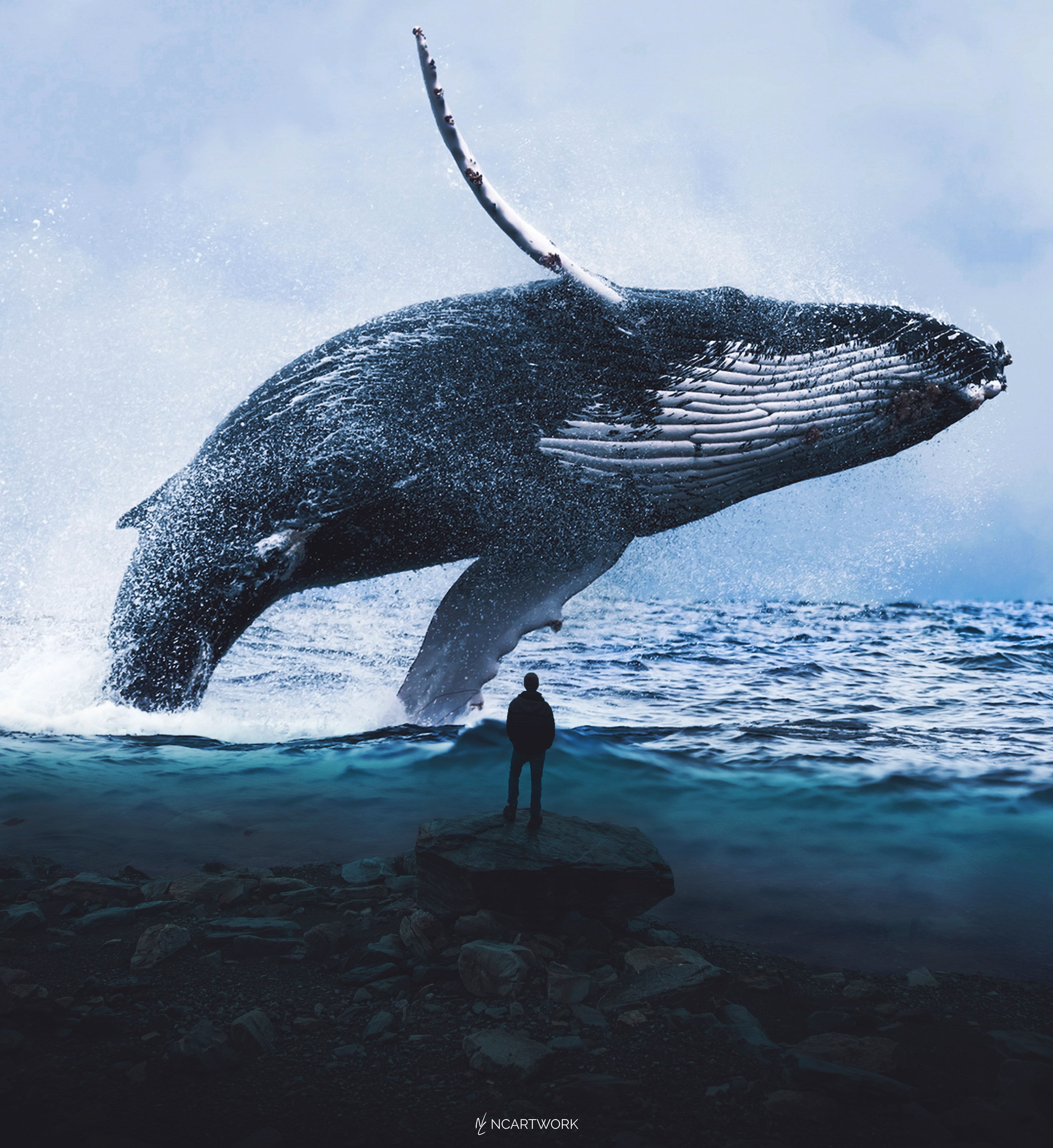 HD Whale Wallpaper