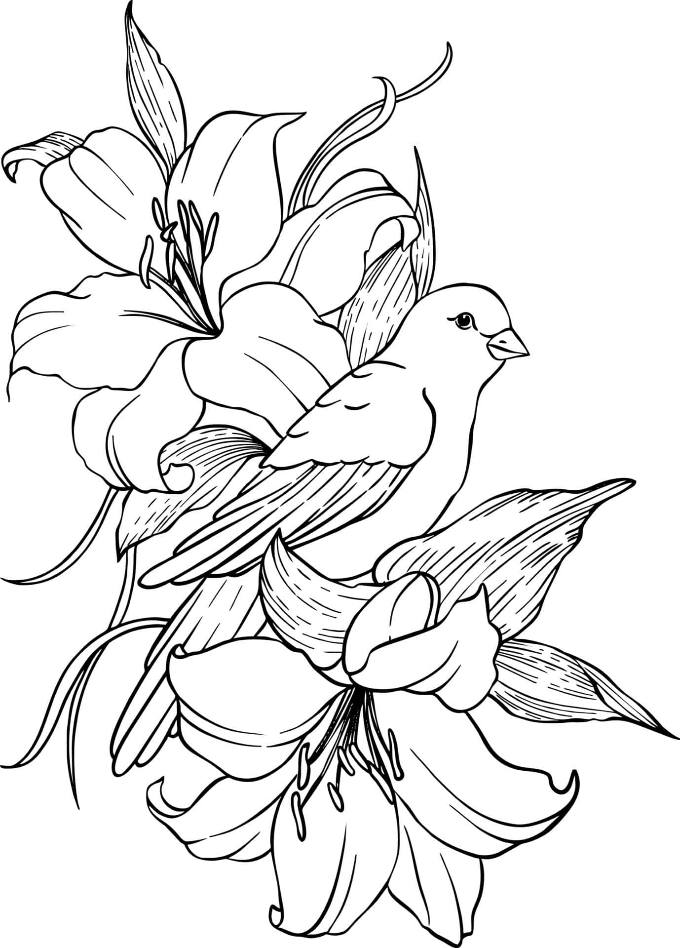 Black And White Drawings X Wallpaper