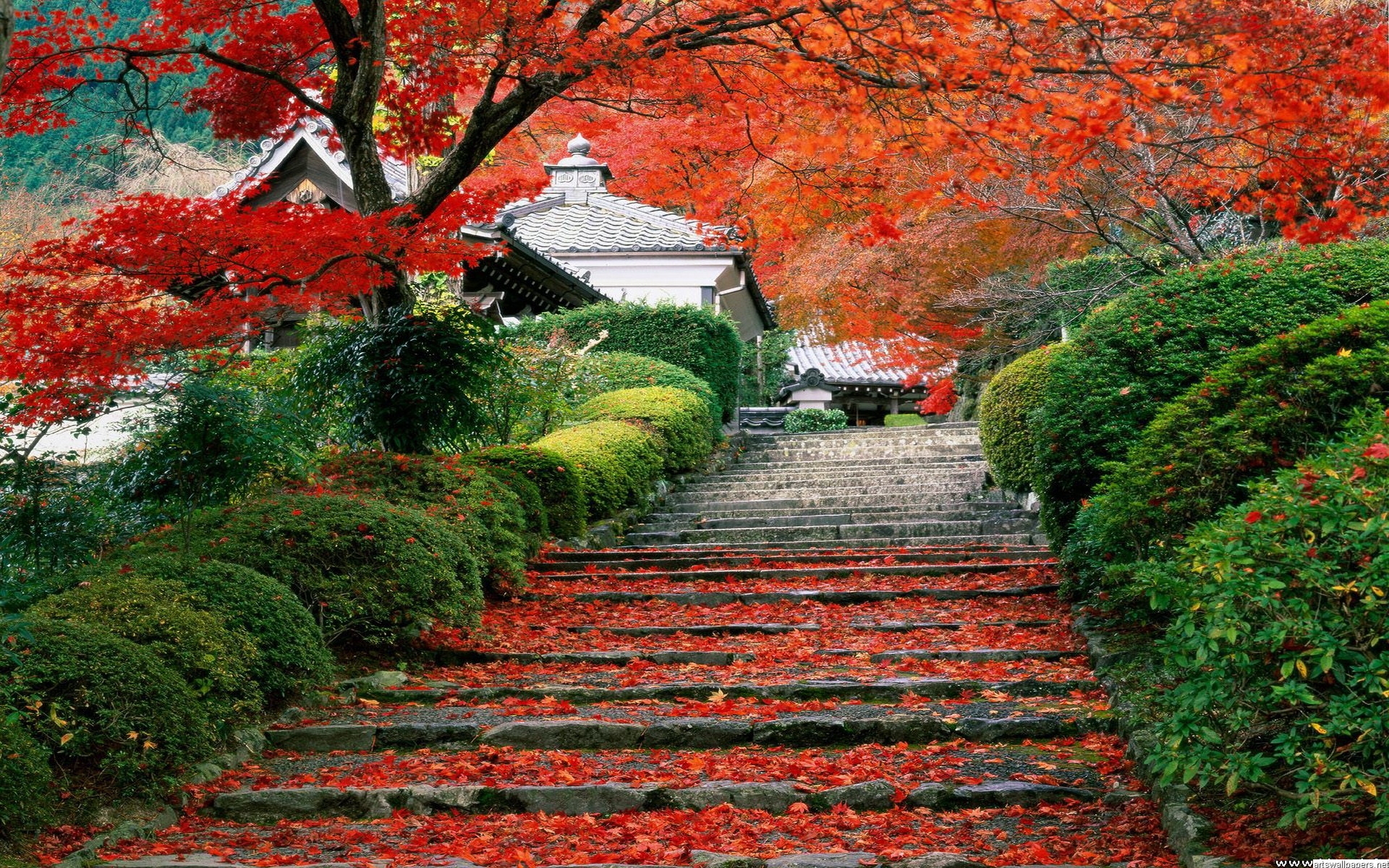 Background Autumn Stairways Japanese Garden Wallpaper
