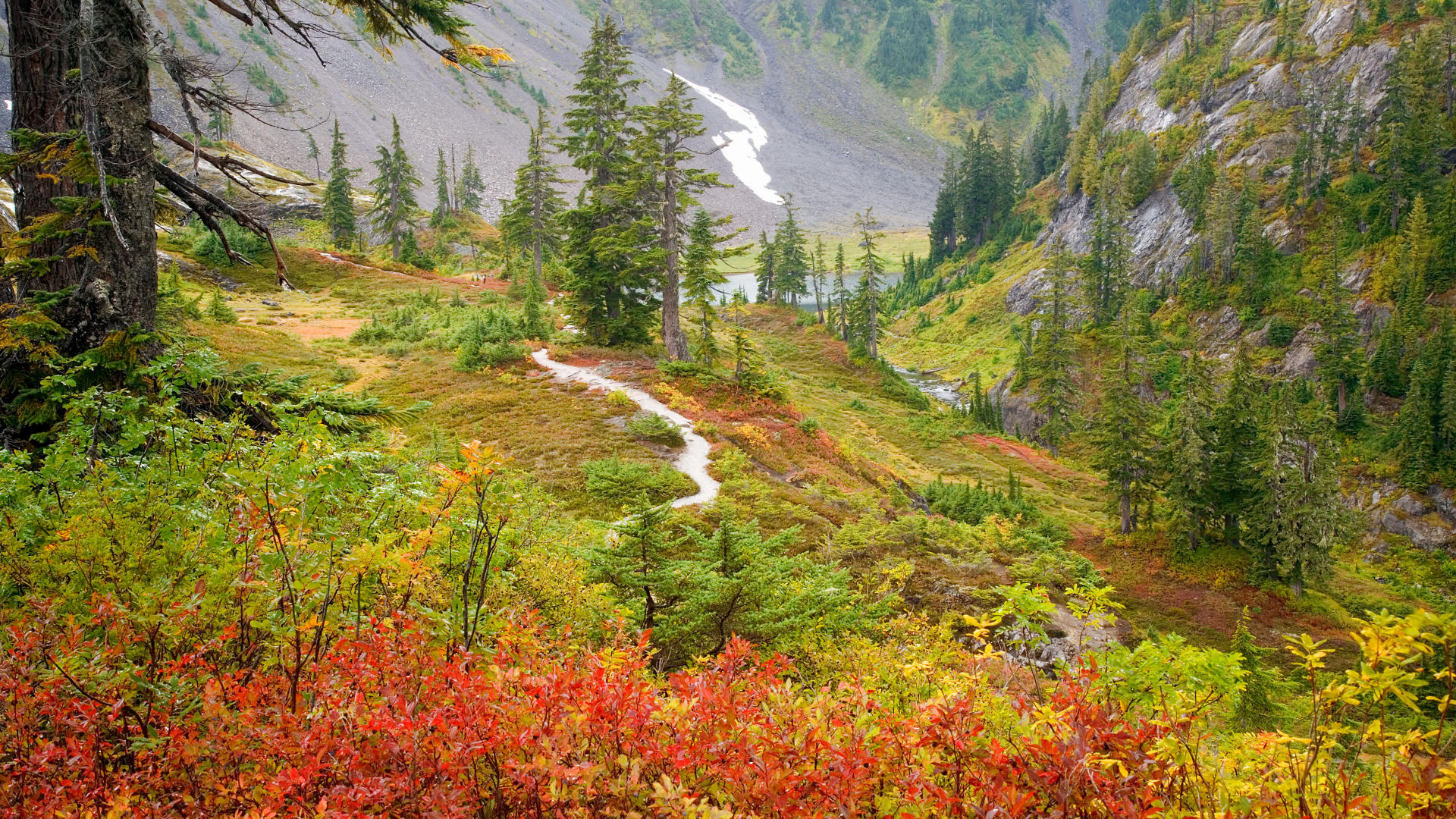 Autumn Mountain River Trees Landscape Wallpaper