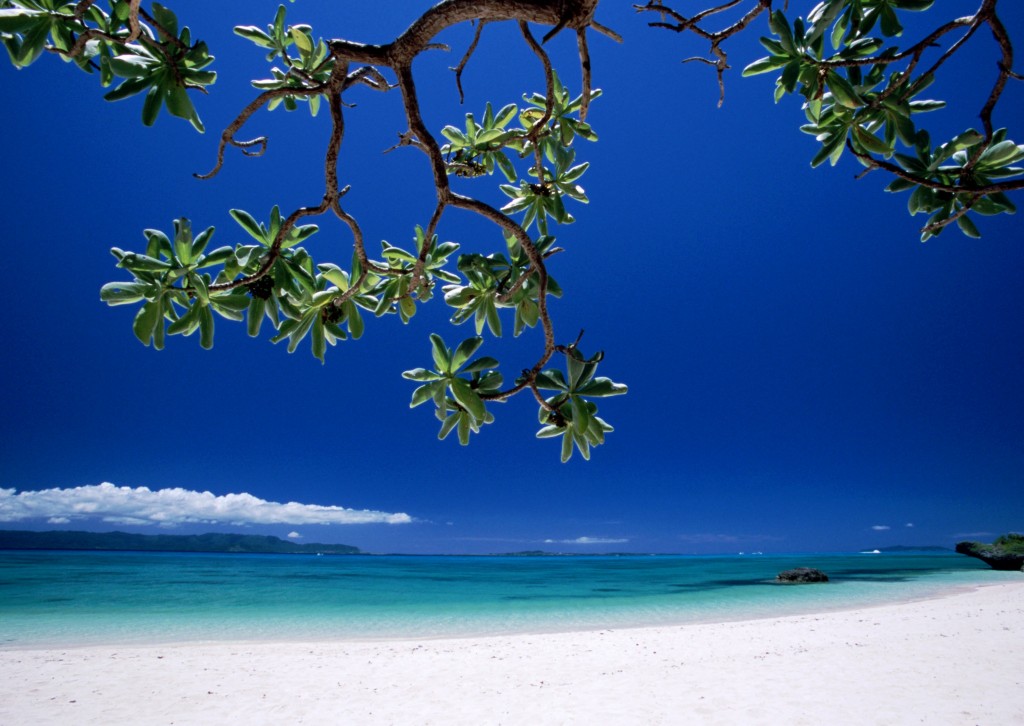 Desktop Wallpaper Beach Scenes Caribbean Jpg