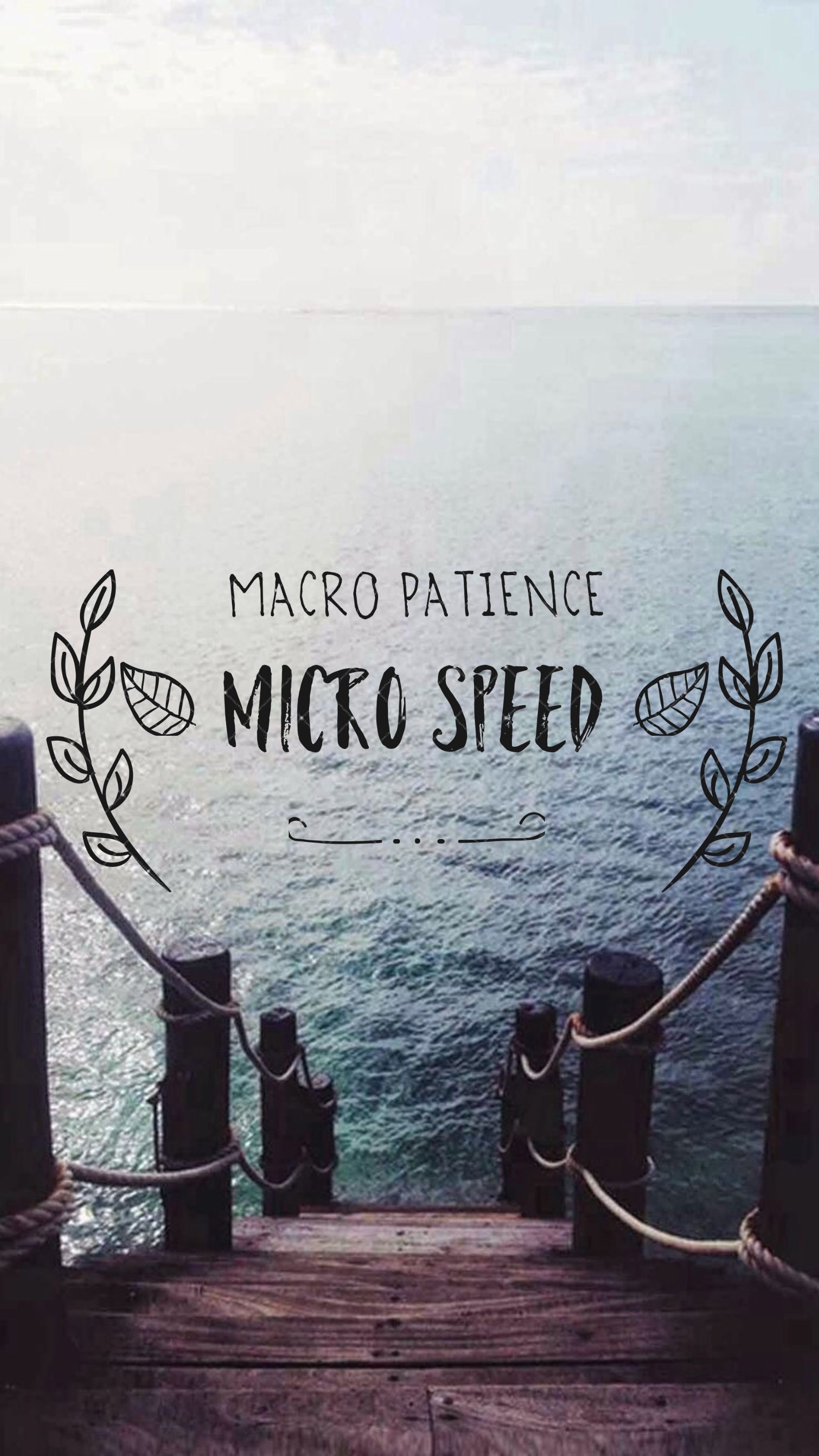 Gary Vee iPhone Wallpaper Macro Patience Micro Speed Currently