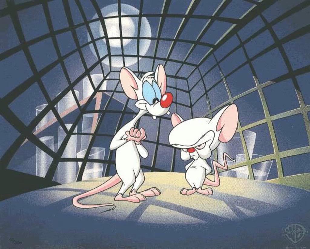 Pinky And The Brain Wallpaper Pinky And The Brain Desktop Background