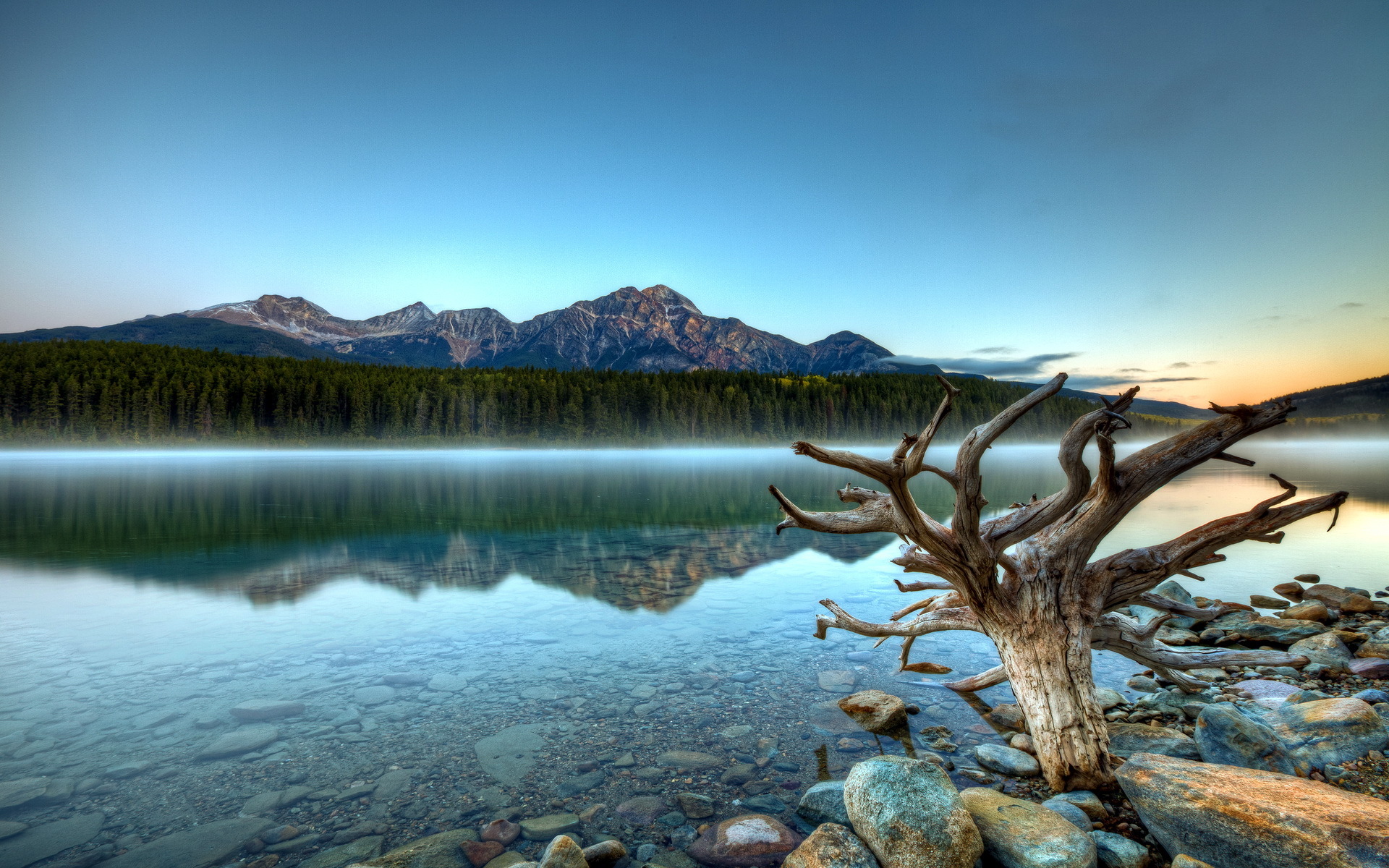 Patricia Lake Forest Mountains HD Wallpapers