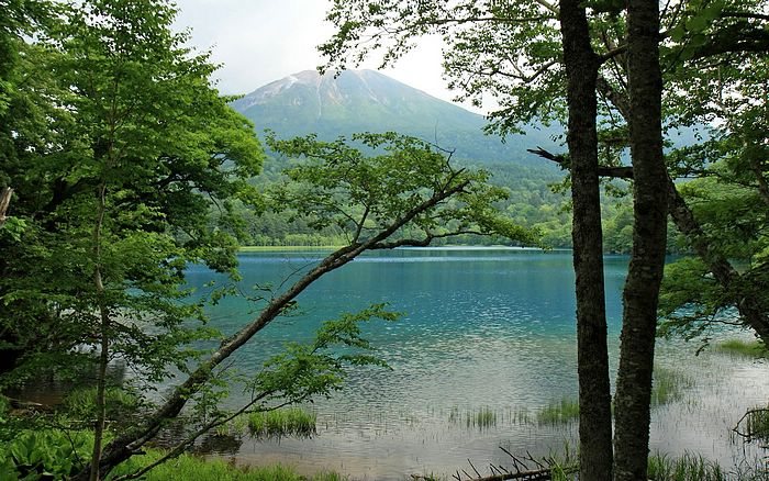 Scenic Summer Field Japan Hokkaido Country Scenery Wallpaper