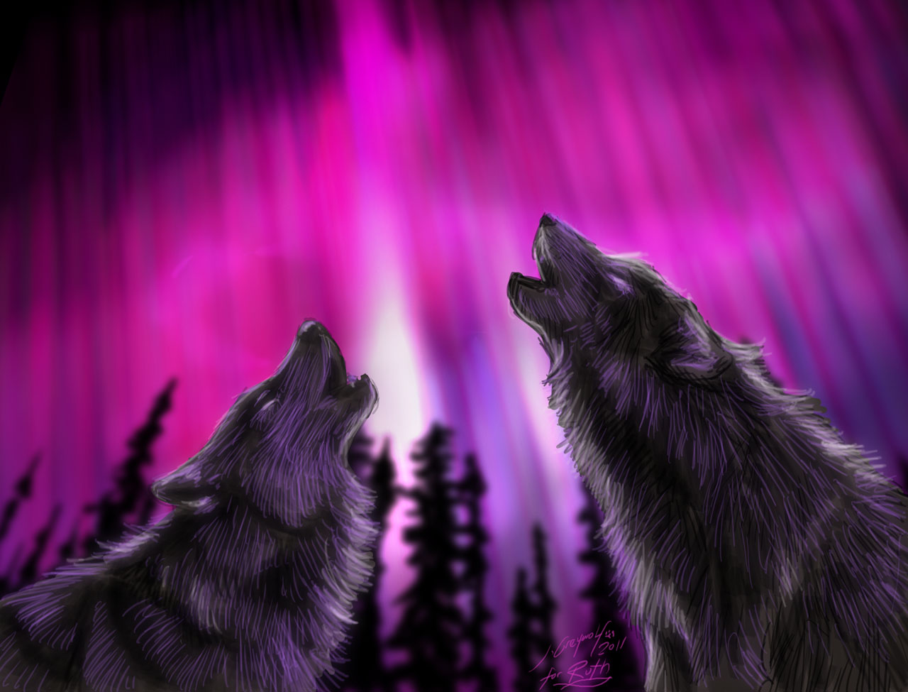 Northern Lights Howling Wolves For Ruth