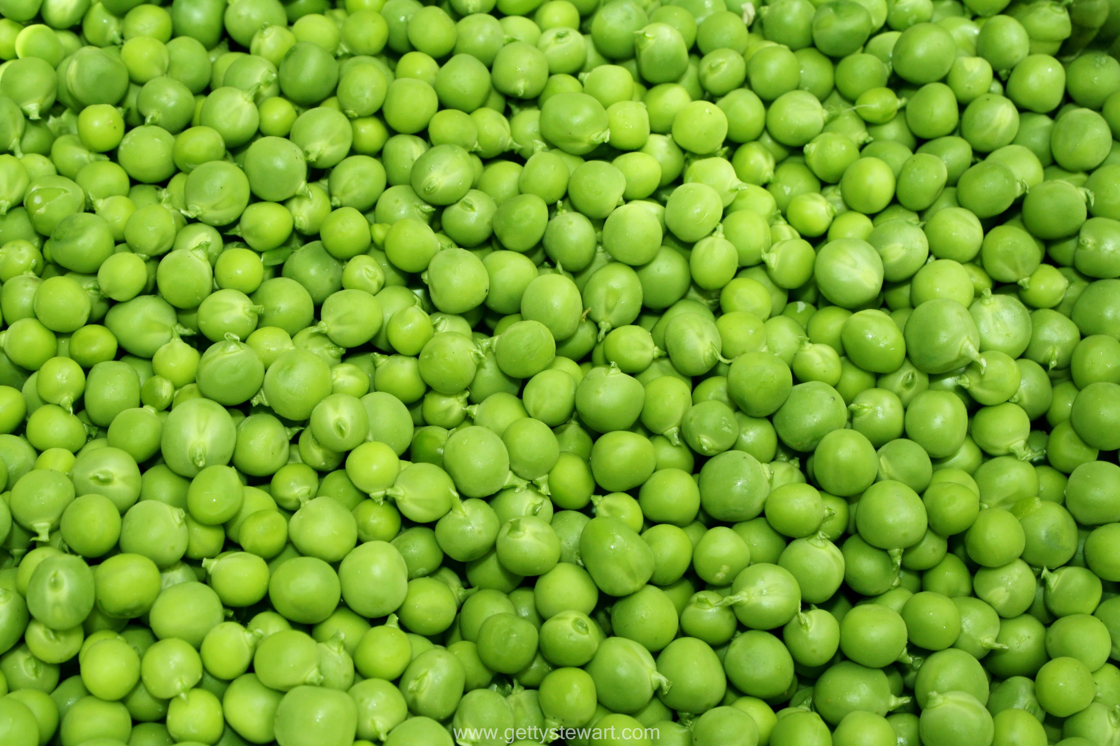 Best Pea Wallpaper Sweet