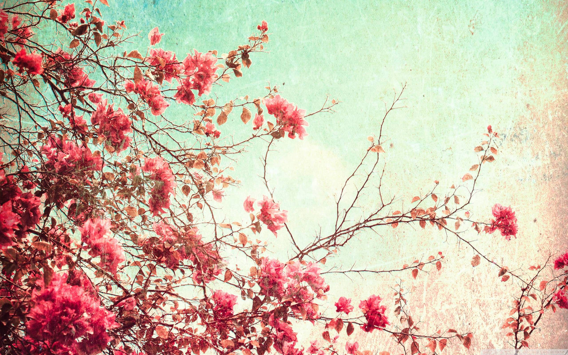 Vintage Aesthetic Laptop Wallpaper