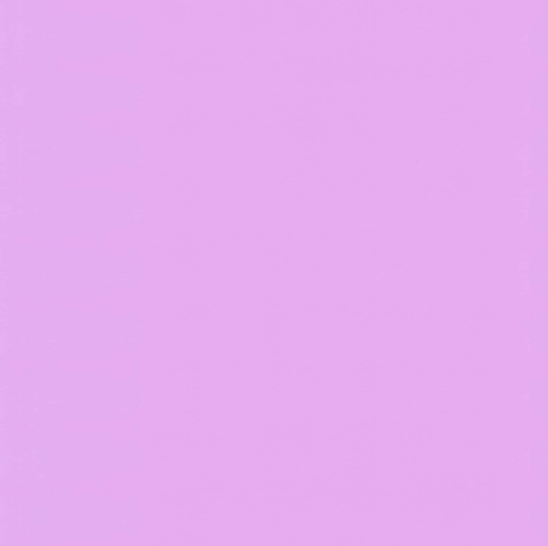 Solid Pastel Purple Wallpaper