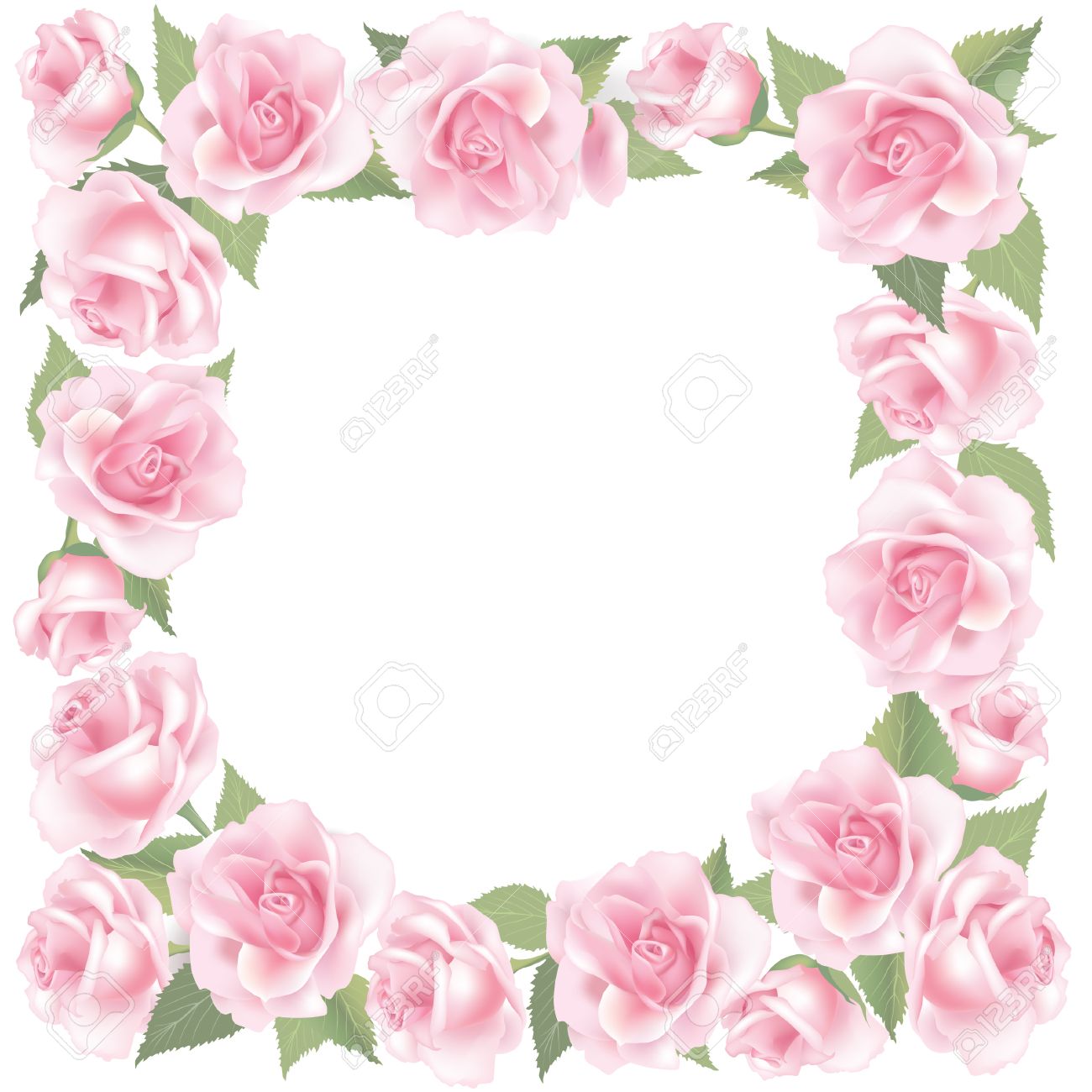 Flower Rose Background Floral Frame With Pink Roses Royalty