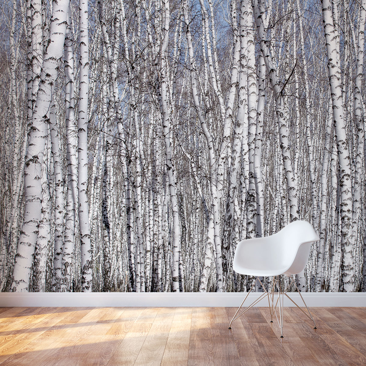 white birch wall decals