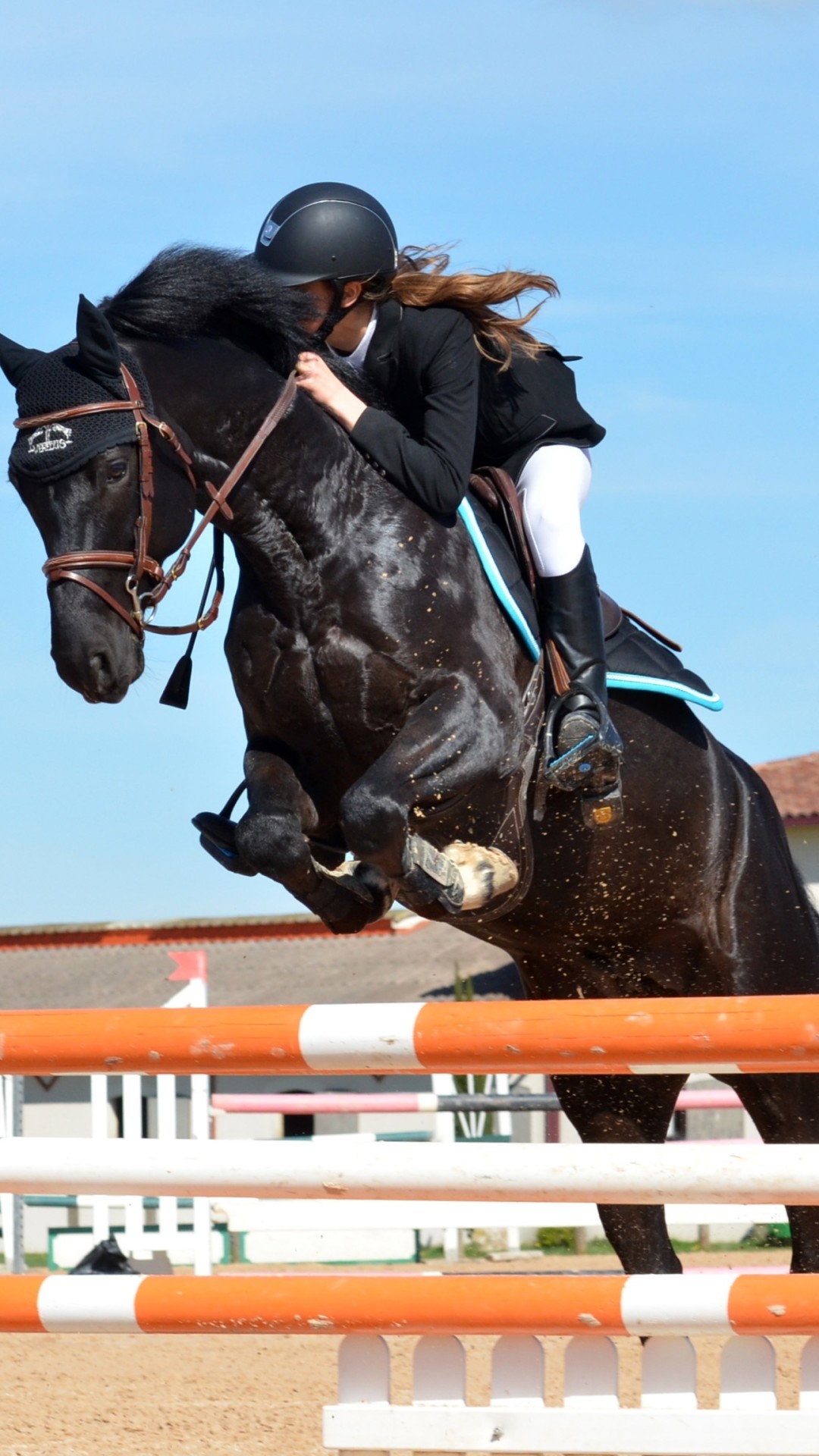 Equestrian Wallpaper