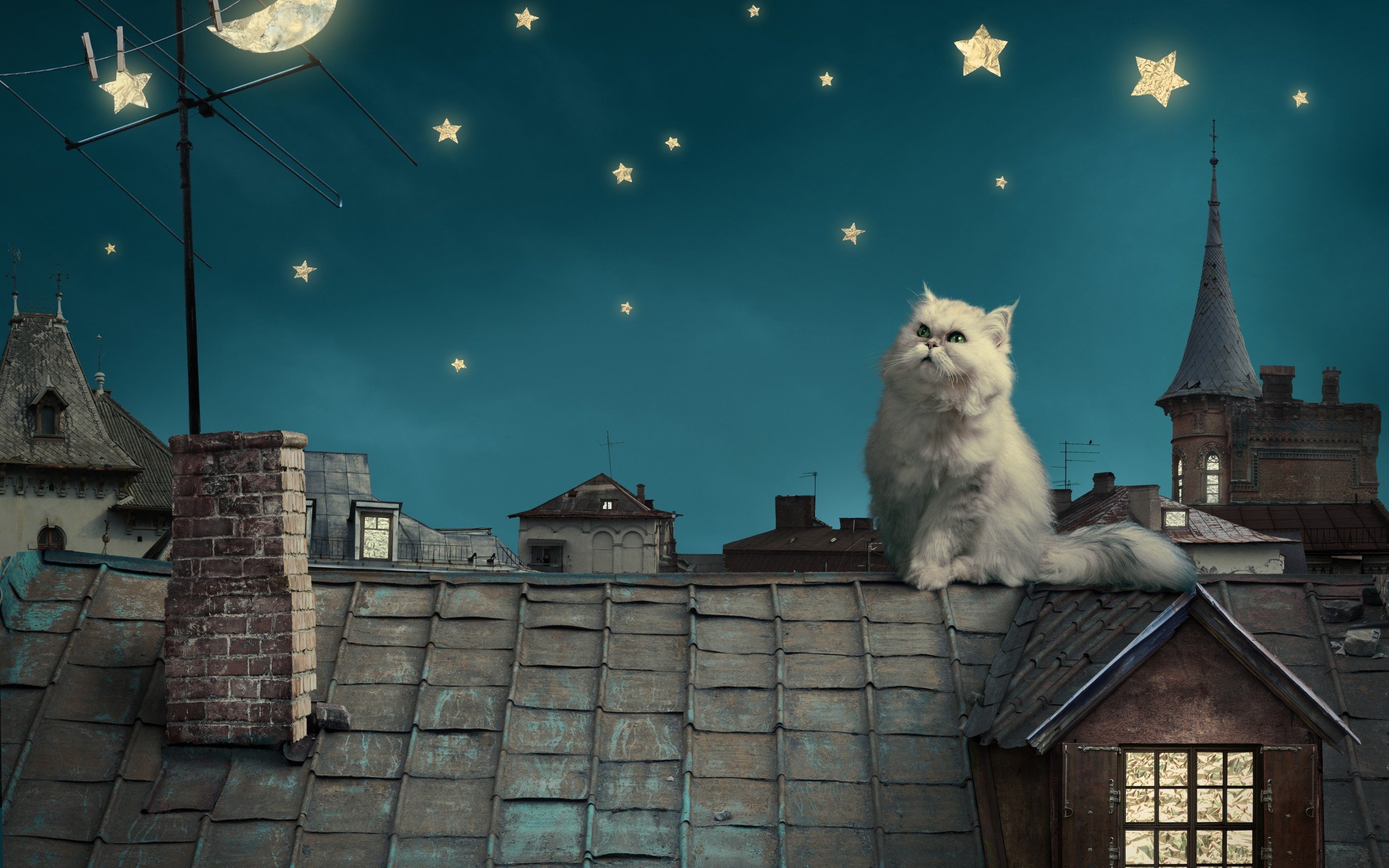 persian White Cat Kitten Fairytale Fantasy Roof House Sky