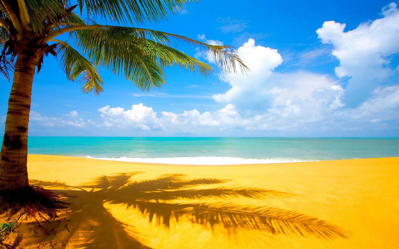 Sandy Beach Wallpaper HD Android Apps On Google Play