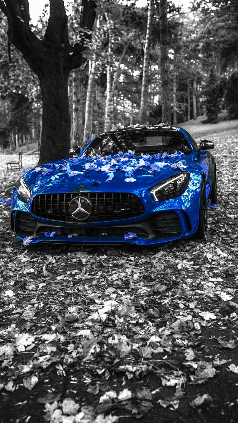 Mercedes Benz Car Wallpaper