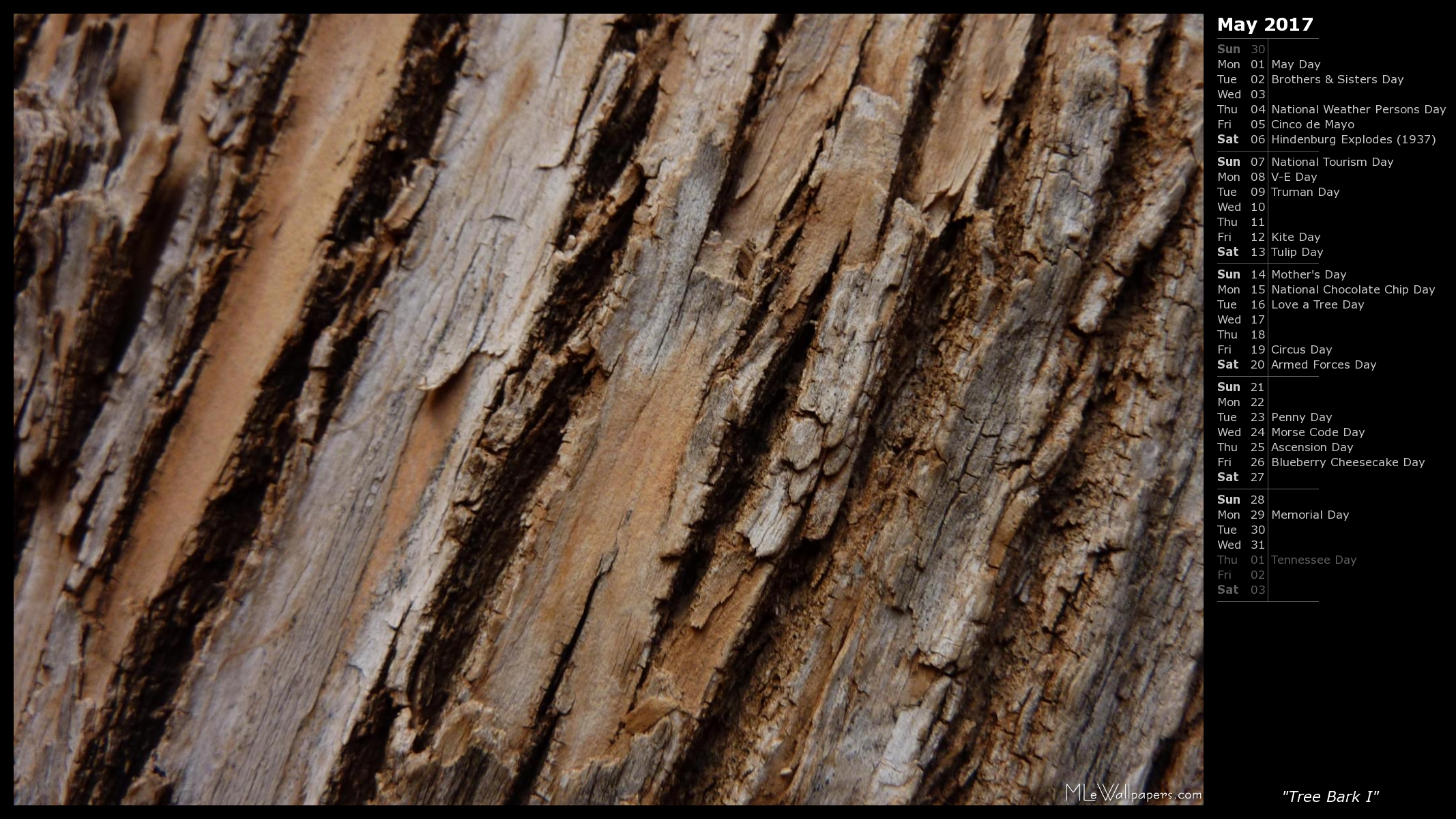Wallpaper This Abstract Shows Shades Of Brown In Tree Bark