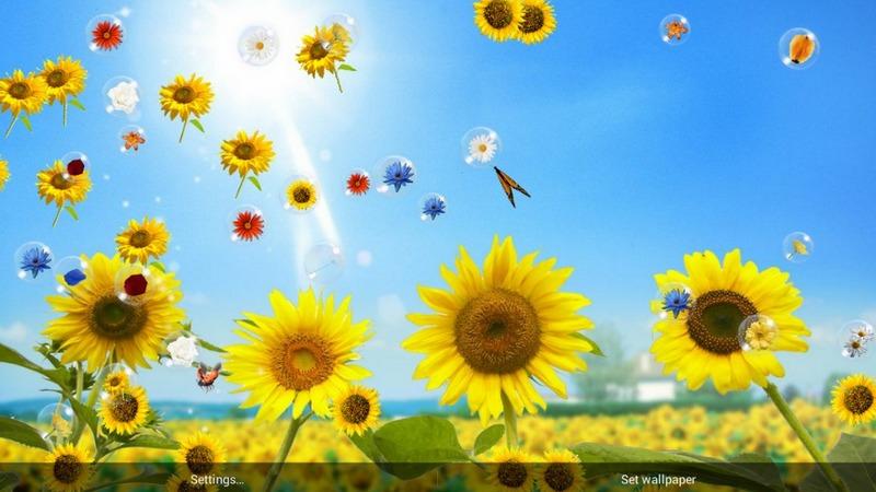 Flowers Live Wallpaper Android Apps And Tests Androidpit