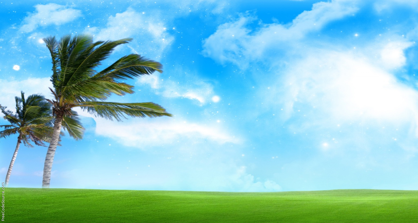 Palm Trees Formspring Background Layouts